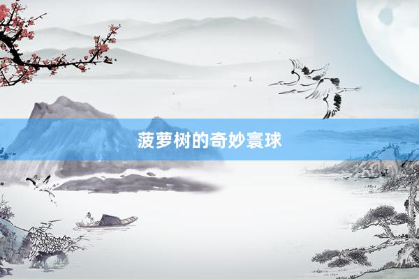 菠萝树的奇妙寰球