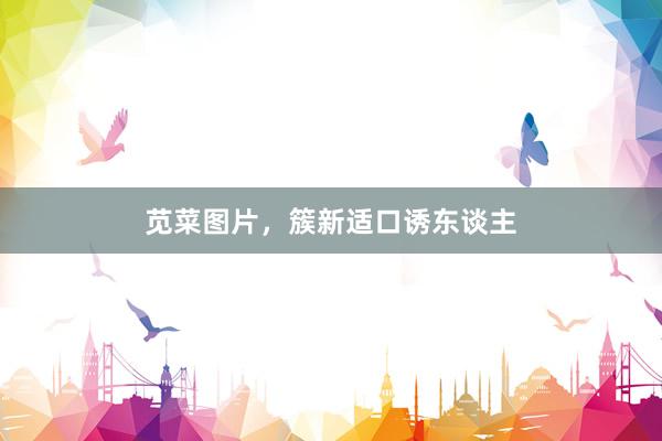 苋菜图片,簇新适口诱东谈主