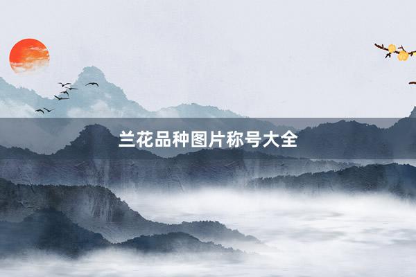 兰花品种图片称号大全