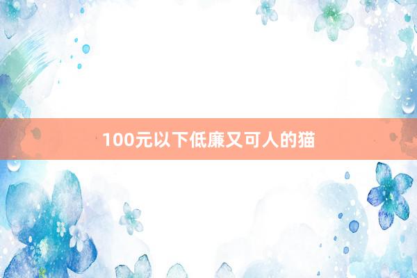 100元以下低廉又可人的猫