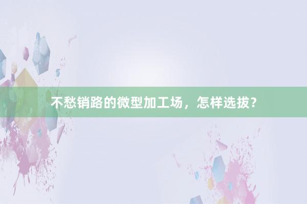 不愁销路的微型加工场，怎样选拔？